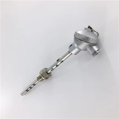 Universeel S-type thermokoppel Pt100